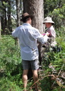 VCAS, Biodiversity Offsets and Part 5 Agreements