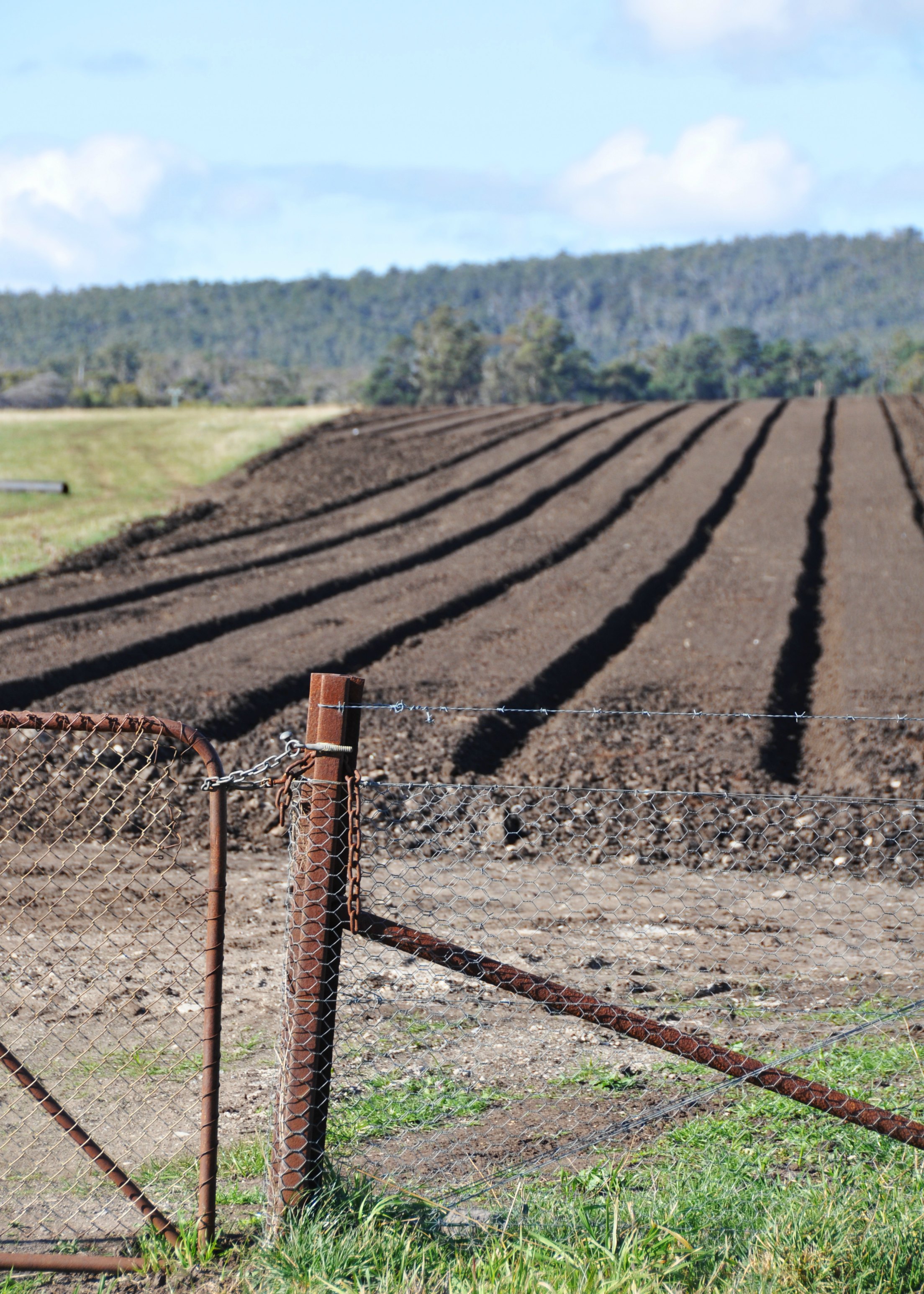 Houstons farm tasman
