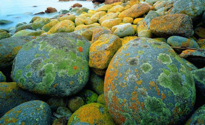 coastal rocks pic
