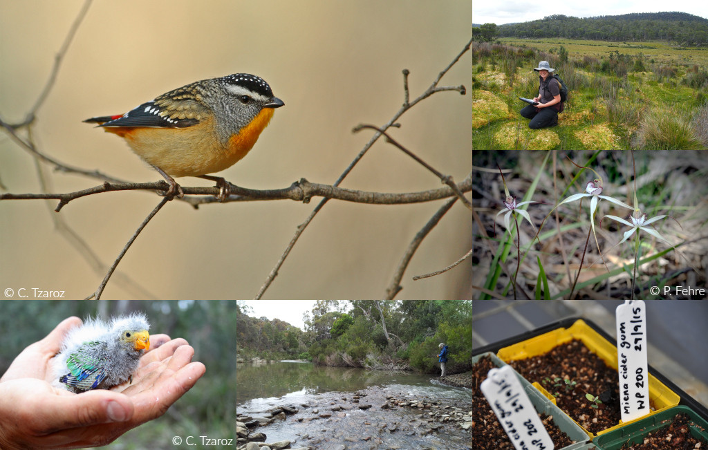 threatened species and communities